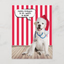 Zoek naar witte hond briefkaarten Vakantie