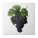 Zoek naar redoute tegels Botanisch