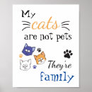 Zoek naar katten gezicht posters Cartoon