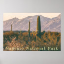 Zoek naar natuur landschap posters Arizona
