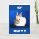 Zoek naar een nieuwe hoop kaarten Konijn
