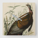Zoek naar wilde vogels klokken Illustratie