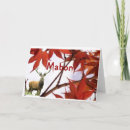 Zoek naar druid kaarten Heks