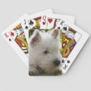 Zoek naar west highland white terrier Puppy