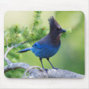 Zoek naar archer muismatten Vogel