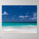 Zoek naar tropical kunst Voor iedereen