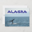 Zoek naar whale briefkaarten Zee
