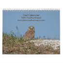 Zoek naar owl kalenders Natuur