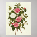 Zoek naar engelse tuin posters Tuinen