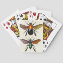 Zoek naar insect speelkaarten Illustratie