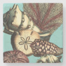 Zoek naar shell onderzetters Stervis