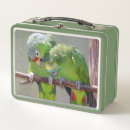 Zoek naar papegaaien lunchboxen Vogels