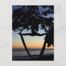 Zoek naar silk briefkaarten Zijde