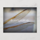 Zoek naar dragonfly briefkaarten Insecten