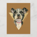 Zoek naar pit briefkaarten Voor iedereen