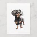Zoek naar dachshund briefkaarten Wiener hond