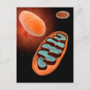 Zoek naar microscopisch briefkaarten Kunstwerk