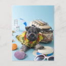 Zoek naar miniatuur schnauzer posters Kijkend camera
