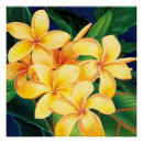 Zoek naar hawaiiaans posters Voor haar