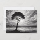 Zoek naar eenzame boom briefkaarten Wolken