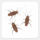 Zoek naar plaag stickers Insect