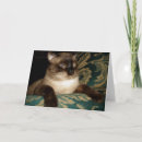 Zoek naar siamese cat kaarten Schattige kat