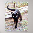 Zoek naar kitty kat posters Elk persoon