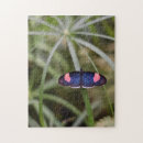Zoek naar mooie natuur fotografie Bloemen