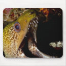 Zoek naar mond muismatten Close up