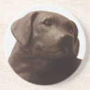 Zoek naar labrador retriever onderzetters Laboratorium