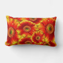 Zoek naar daisies kussens Lente