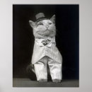 Zoek naar keurig posters Katten