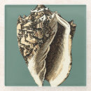 Zoek naar shells onderzetters Strand