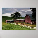 Zoek naar ritten posters Paard