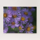 Zoek naar aster puzzels Tuin