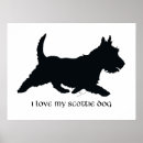 Zoek naar schotse terrier posters Honden