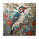 Zoek naar wilde vogels tegels Kleurrijk