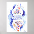 Zoek naar zenuwen posters Synapse