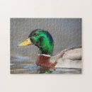 Zoek naar wilde eend puzzels Water