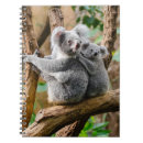Zoek naar boom notitieboeken Schattig