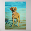 Zoek naar rhodesian ridgeback kunst Rhodesiaans