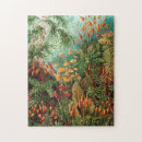 Zoek naar haeckel puzzels Kunstformen der natur