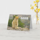 Zoek naar katten humor kaarten Verrassing