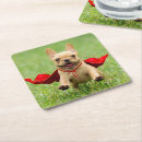 Zoek naar french bulldog onderzetters Puppy