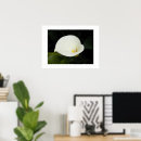 Zoek naar lelie bloemen posters Elk persoon