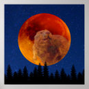 Zoek naar bever posters Winter