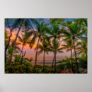 Zoek naar tropisch strand posters Zee