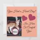 Zoek naar grappige kattenfoto kaarten Kattenmoeder