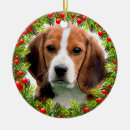 Zoek naar beagle ornamenten Kerst