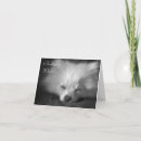 Zoek naar pomeranian verjaardagskaarten Puppy
